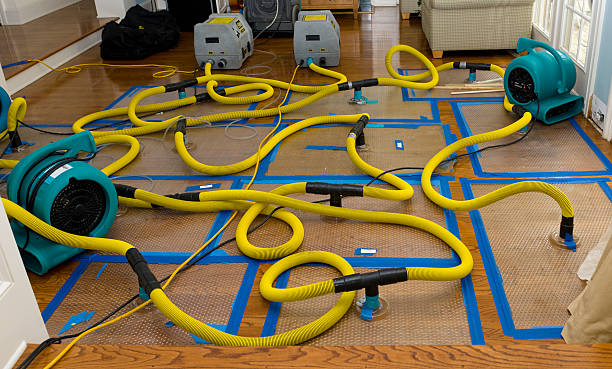 Professional Crawl Space Water Removal technician working in Sandy Spring, MD